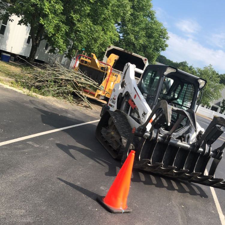CampbellsTreeandHardscapes