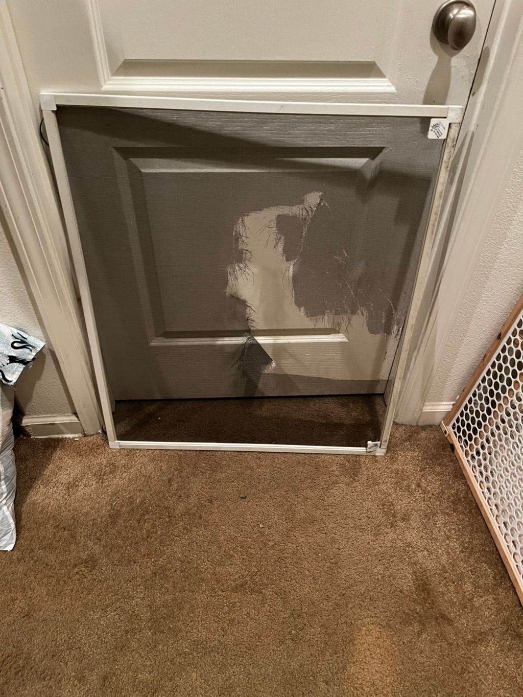 Customer photos