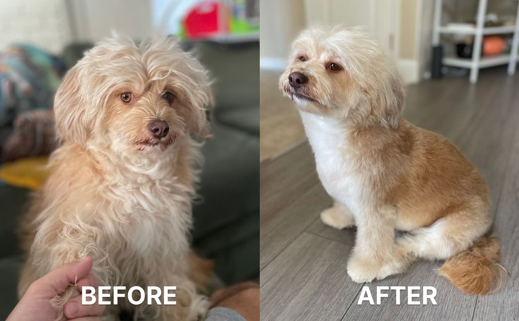 Customer photos