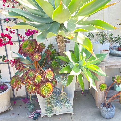 Featured Projects