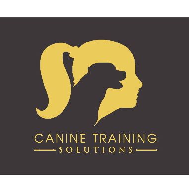Canine Training Solutions