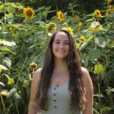 Avatar for Sassafras Photographs