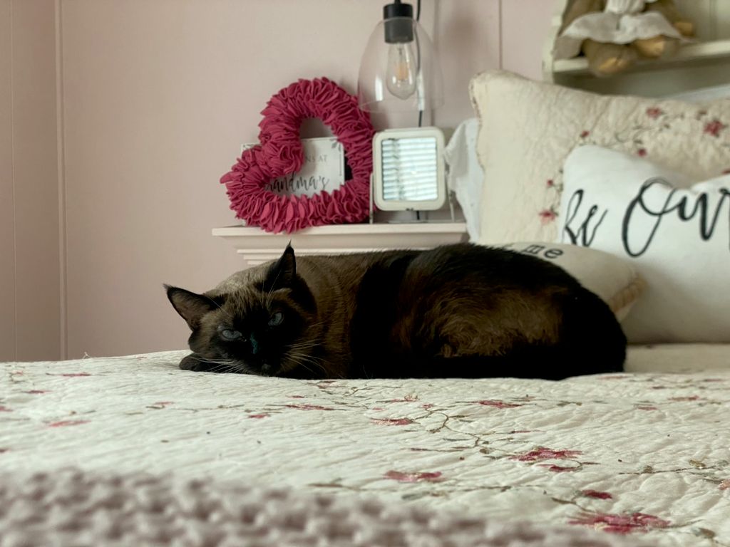 Sleepy gal 