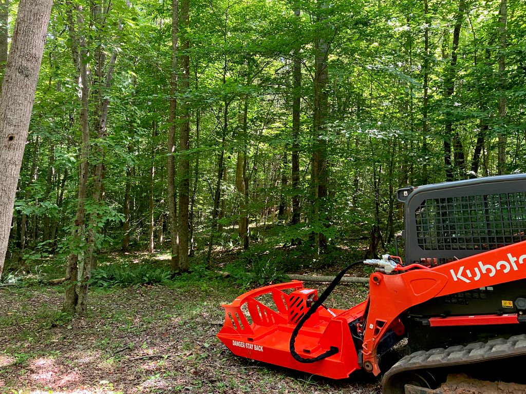 Excavtion Services/Brush Trimming