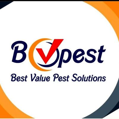 Avatar for Best Value Pest Solutions