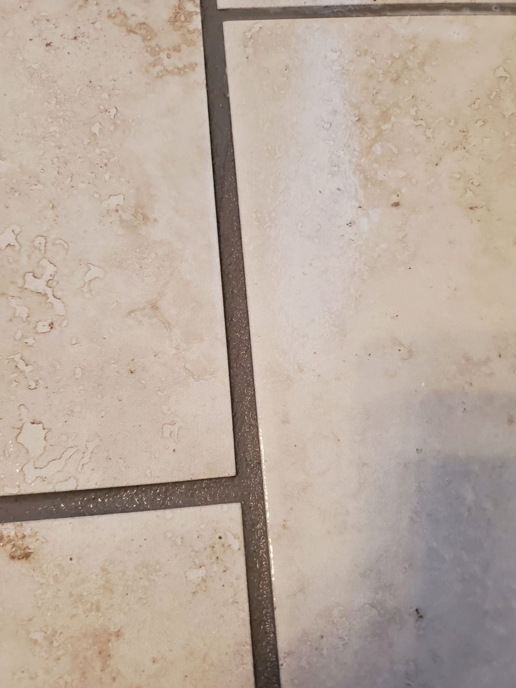 Tile and grout cleaning (BEFORE)