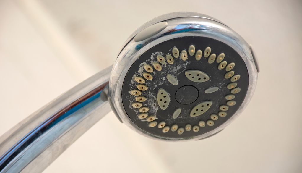how to clean shower heads: dirty showerhead that needs to be cleaned