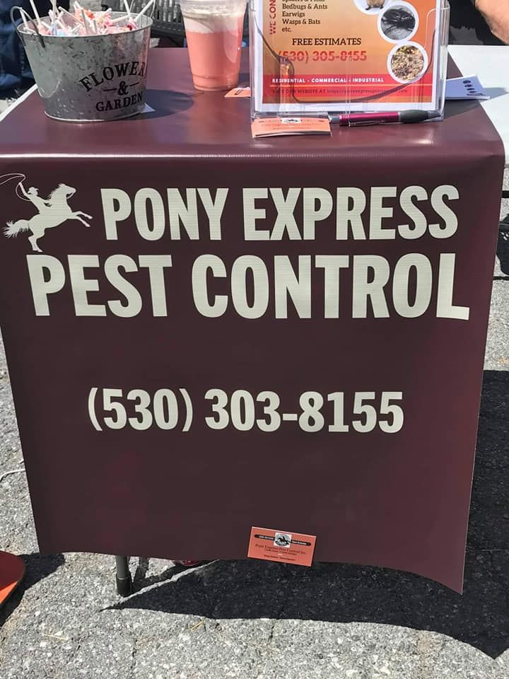Serving our local community 
