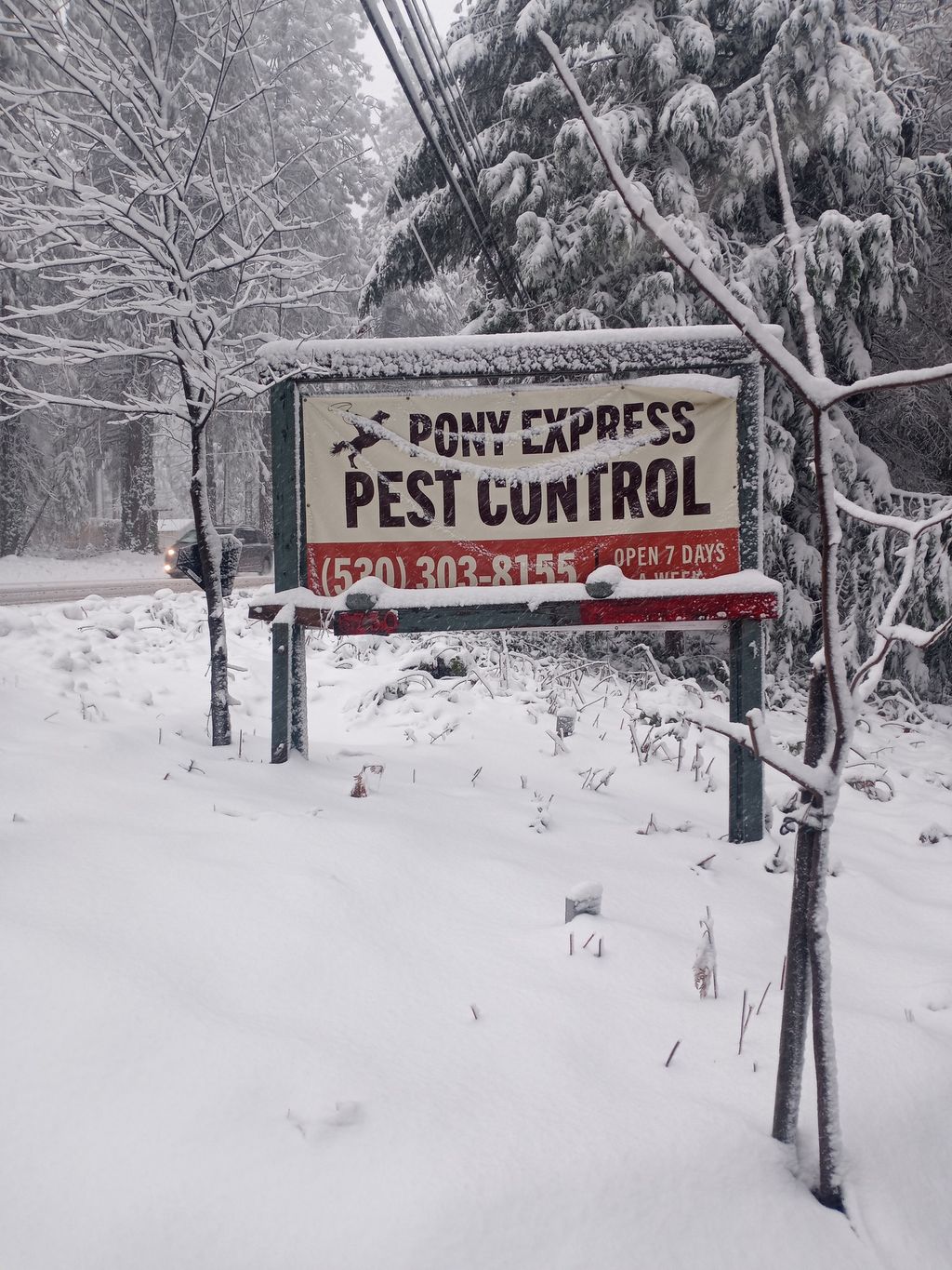 Serving anywhere in any weather