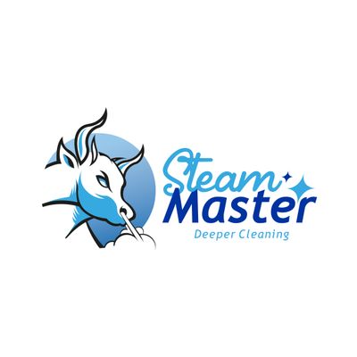 Avatar for Steam Master Deeper Cleaning
