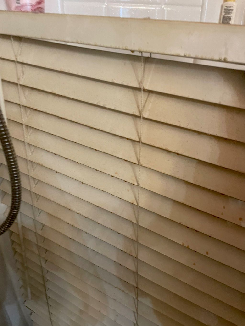 Get Your Blinds Cleaned Today !