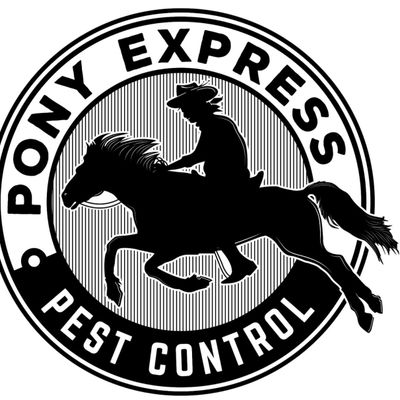 Avatar for Pony Express Pest Control
