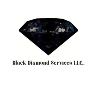 Avatar for Black Diamond Services LLC