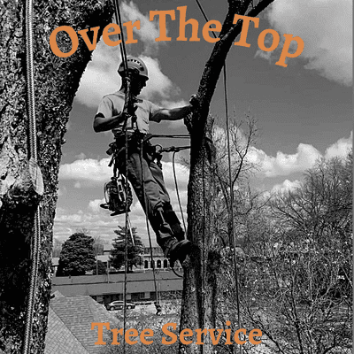 Avatar for Over The Top Tree Service LLC