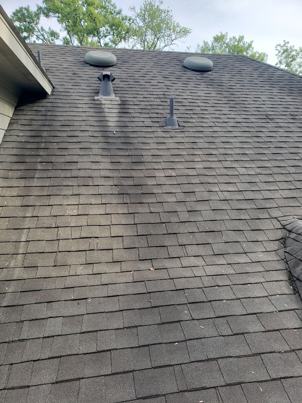 Before: Rooftop2