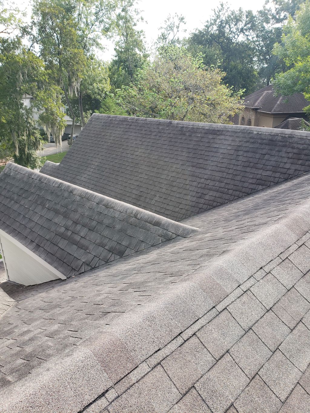 Before: Rooftop