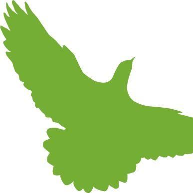 Green Bird Media