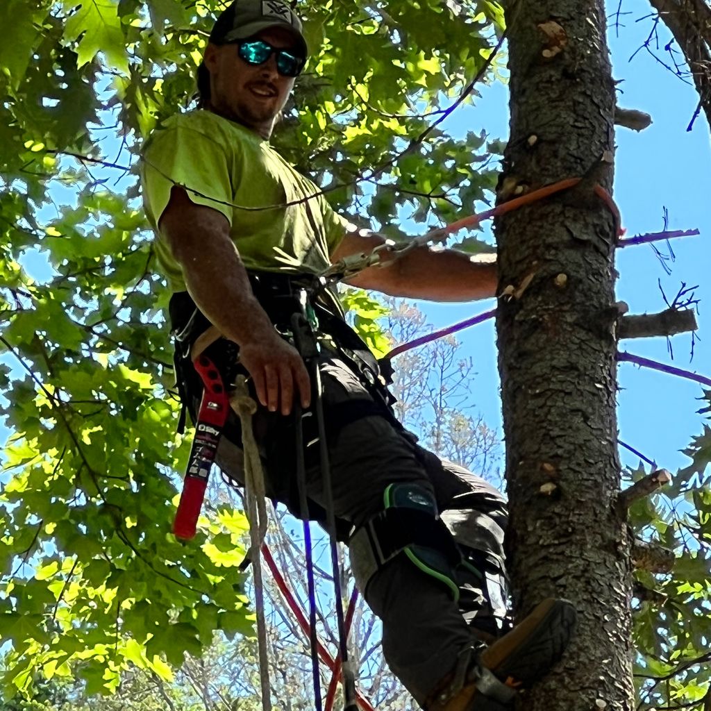 518 Construction and Tree Service