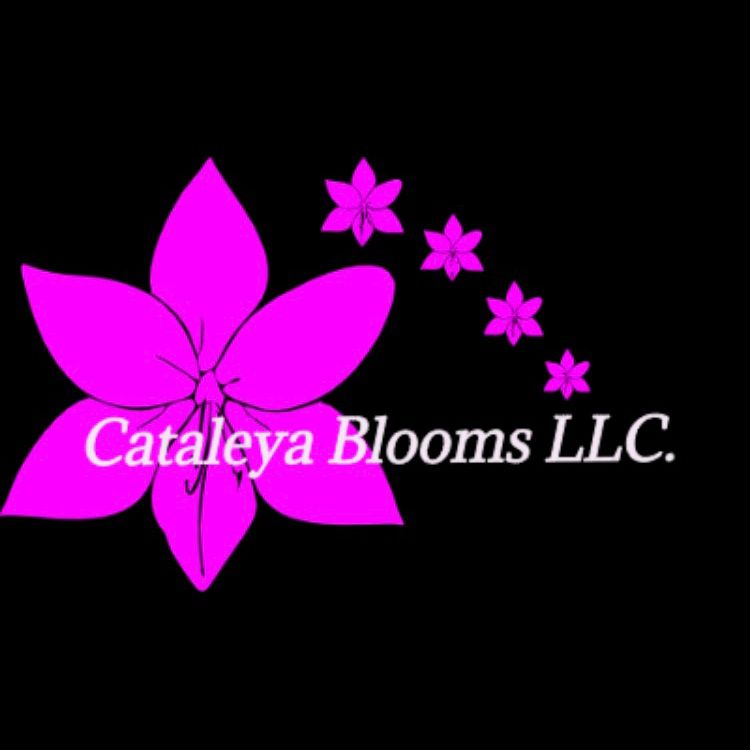 Cataleya Blooms Llc