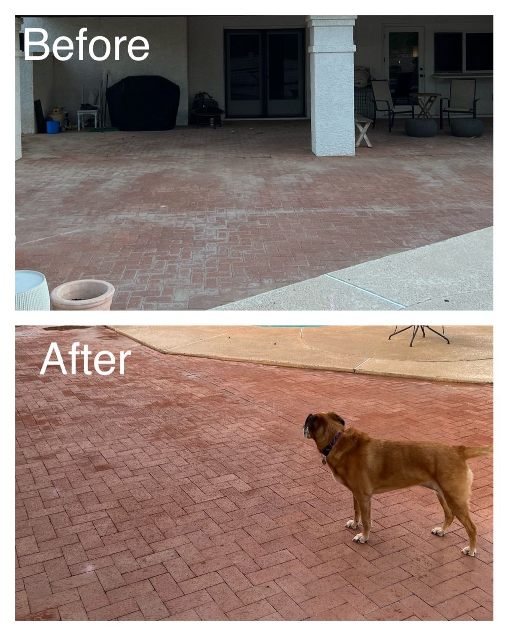 Customer photos