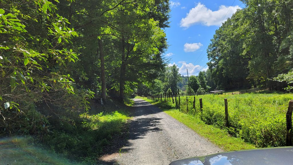 We drive down any dirt road in the mountains