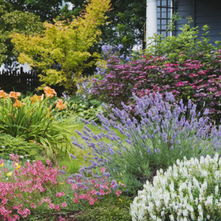 Avatar for 627 Bell Dr