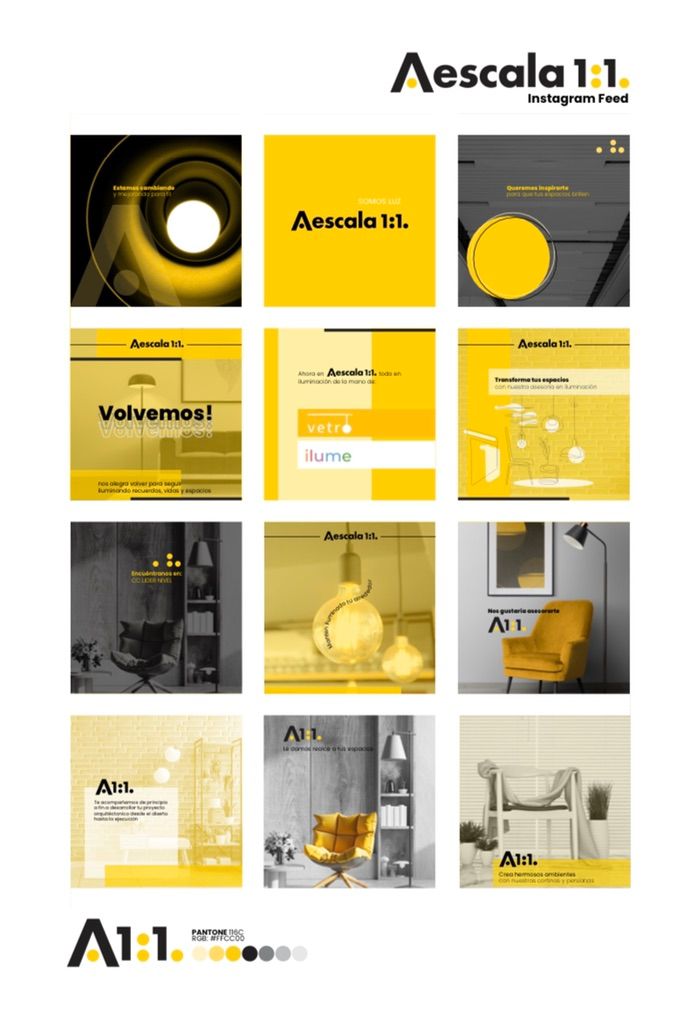 Projects and media