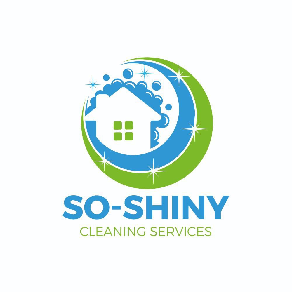 So-Shiny  Lemus cleaning services