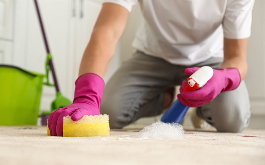 Carpet Cleaning