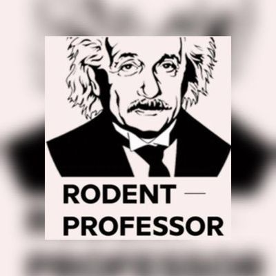 Avatar for Rodent Professor ®