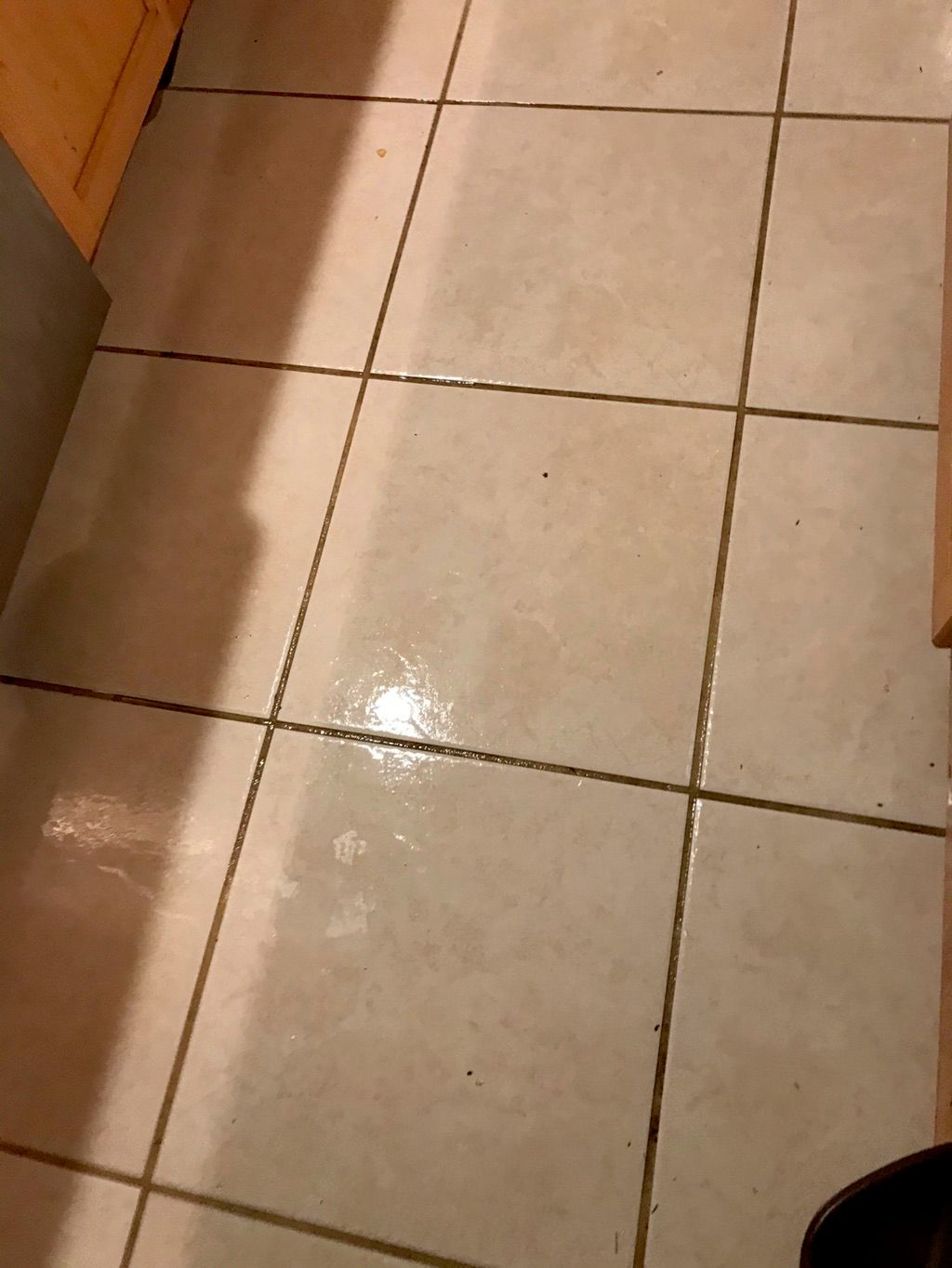 Sparkling tile and grout!