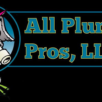 Avatar for All Plumbing Pros, LLC
