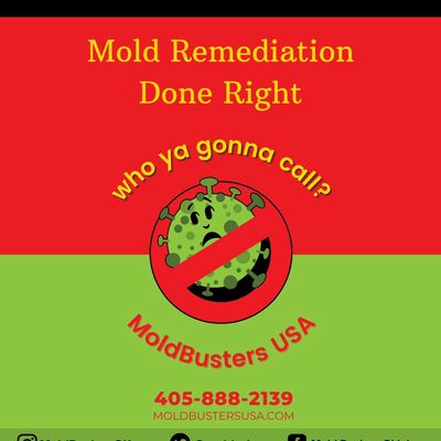 Avatar for Mold Busters USA