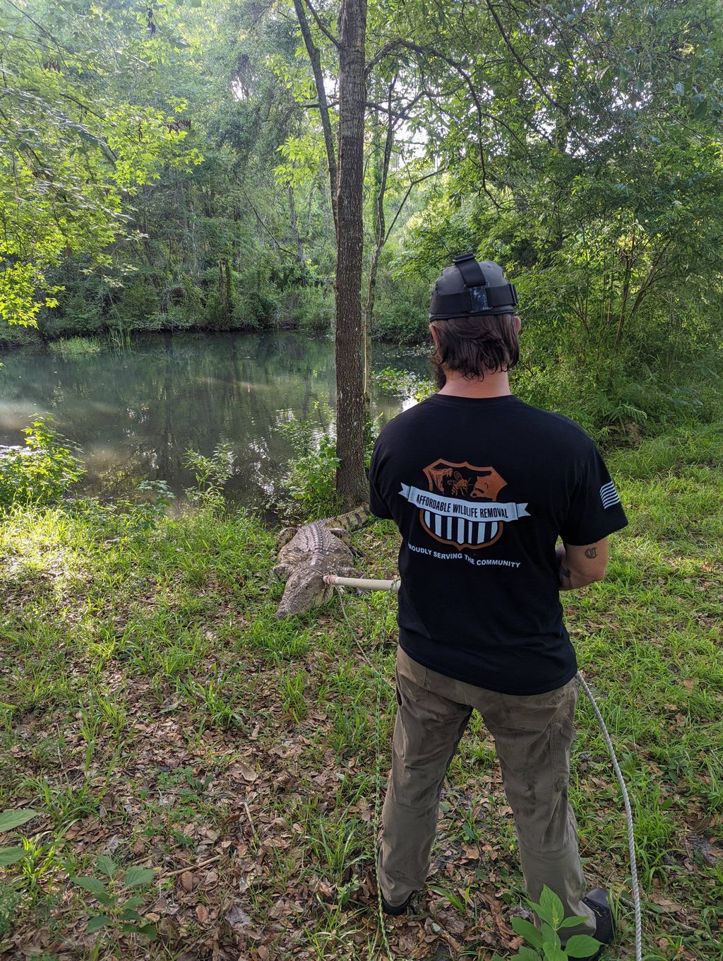 Volunteer work at a private gator farm