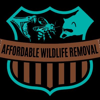 Avatar for Affordable Wildlife Removal