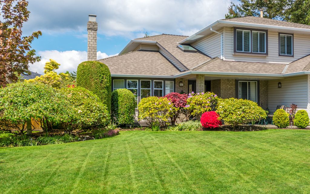 How much do lawn services cost?