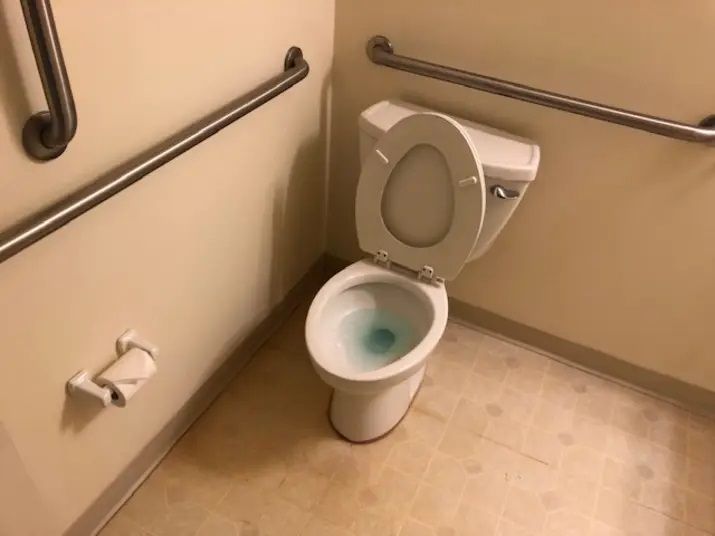 Toilet Disinfected