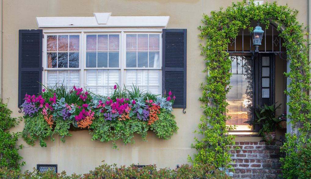 spring curb appeal window boxes