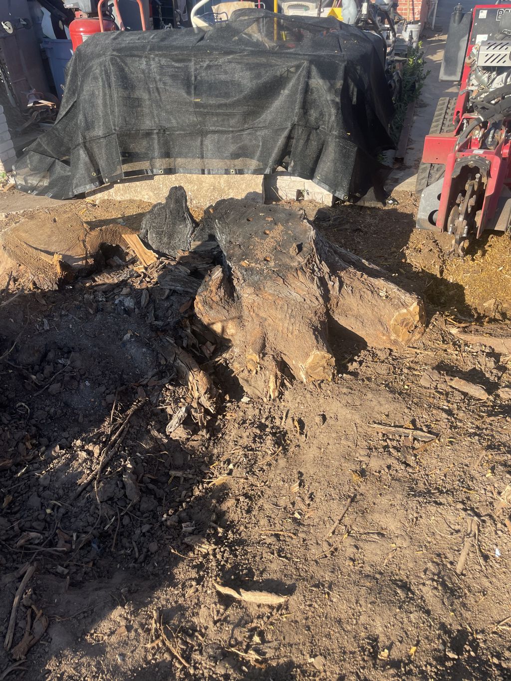 Tree Stump Grinding and Removal