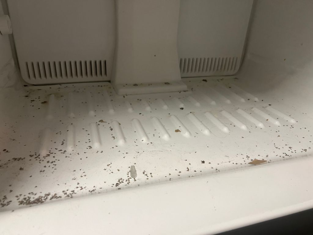 Before pictures of invested fridge 