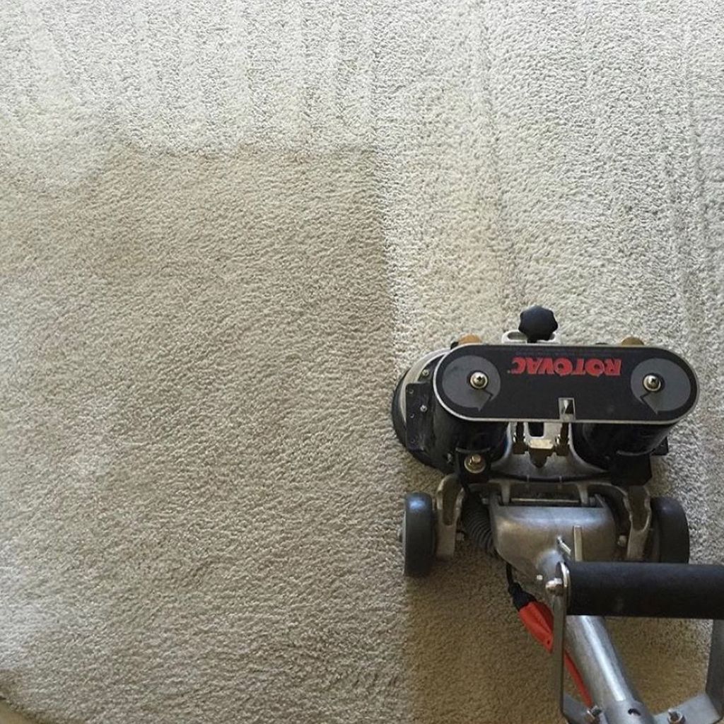 The 10 Best Carpet Cleaning Services in Manassas, VA 2022