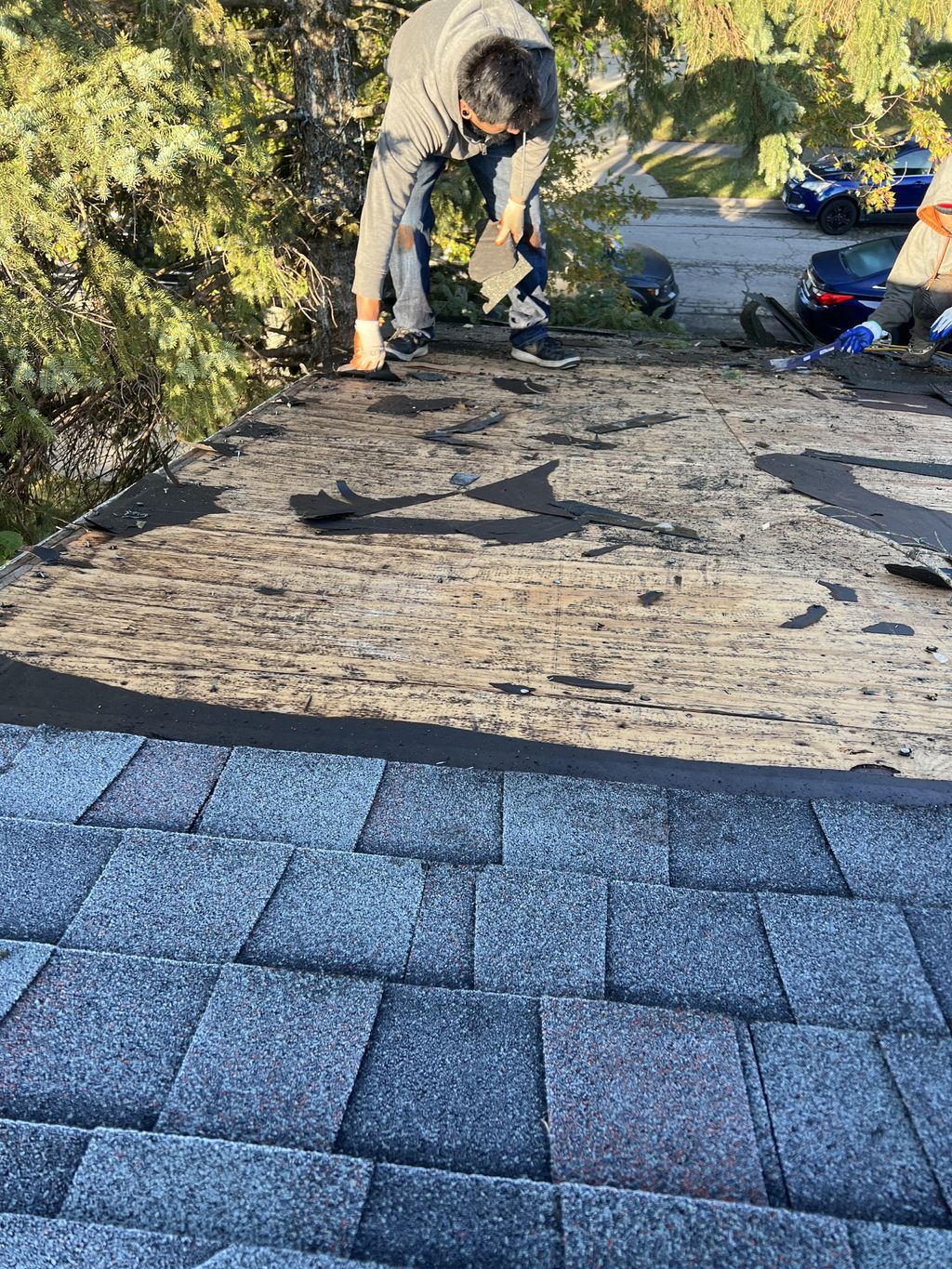 Roof Repair or Maintenance