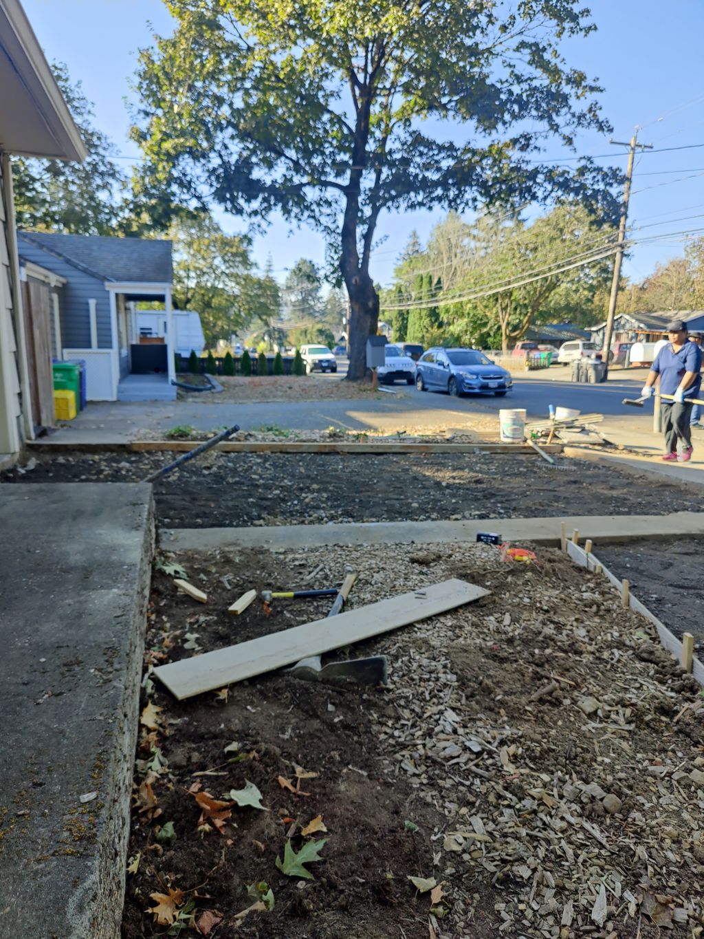 Projects and media