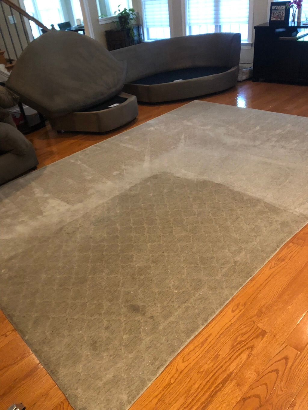 Area rug  and upholstery cleaning progress 