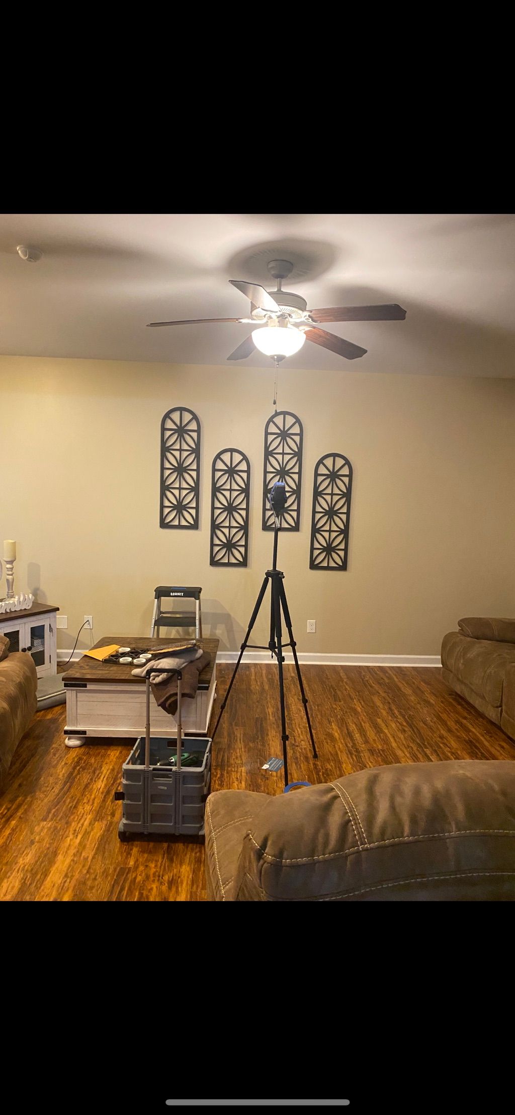 Projects and media