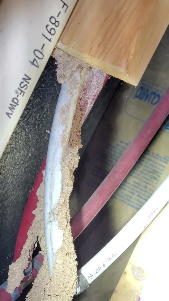 Termite Tube