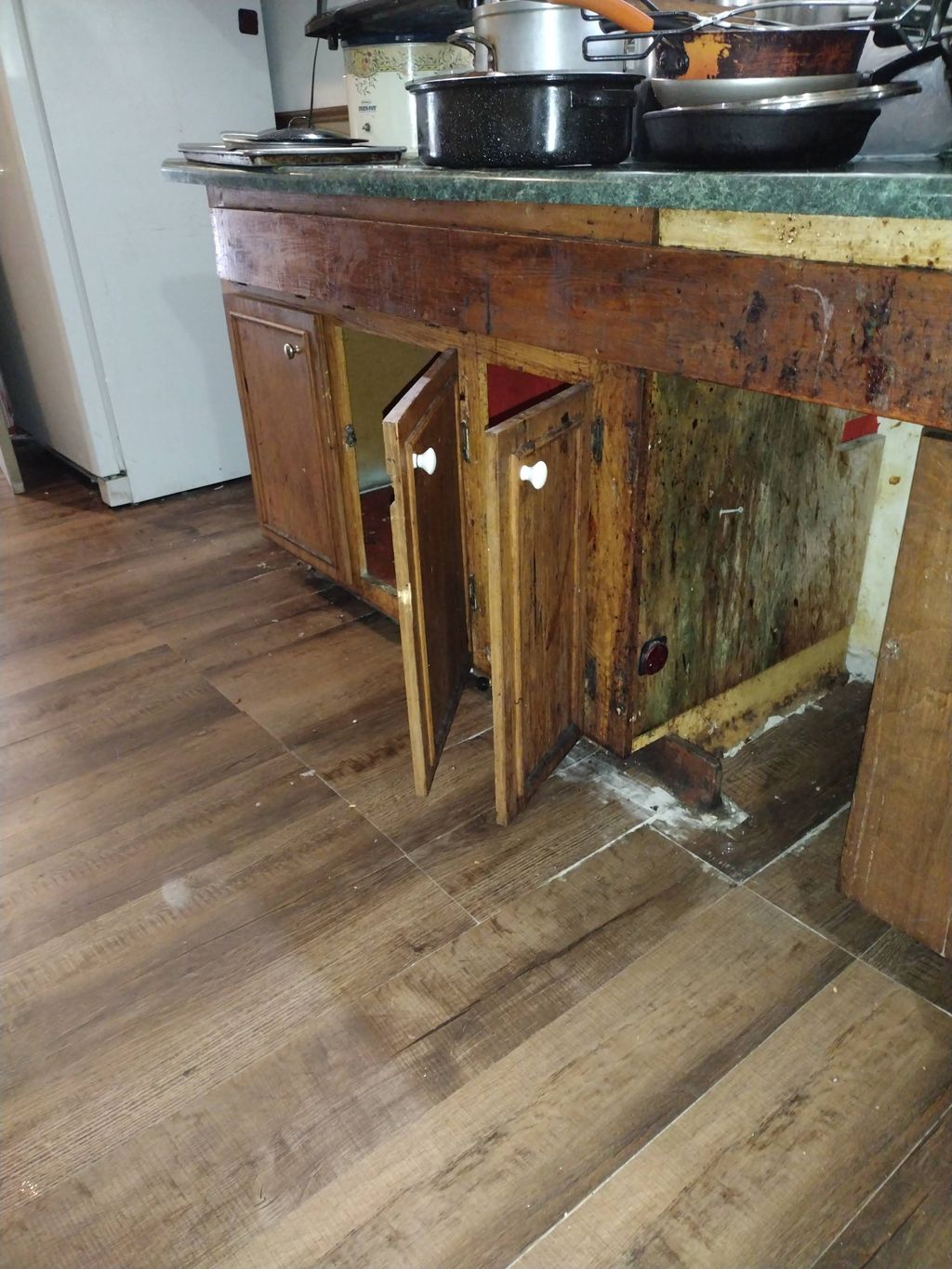 mold under cabinet 