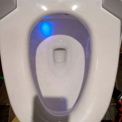 Completed Electronic Toilet Cleaned