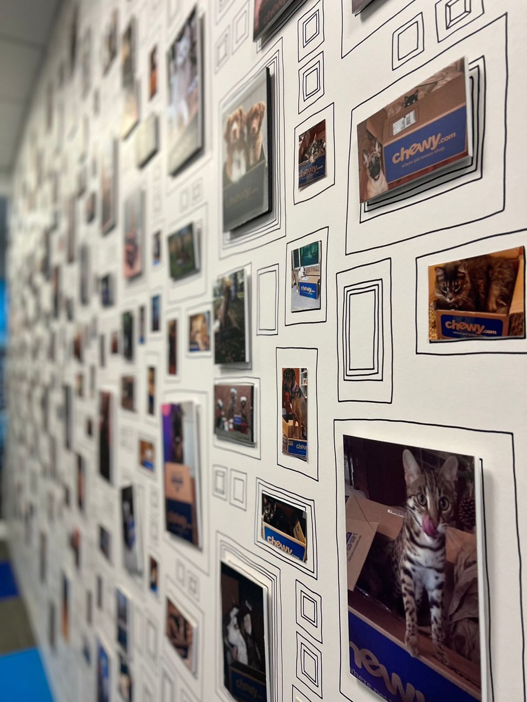 Projects and media