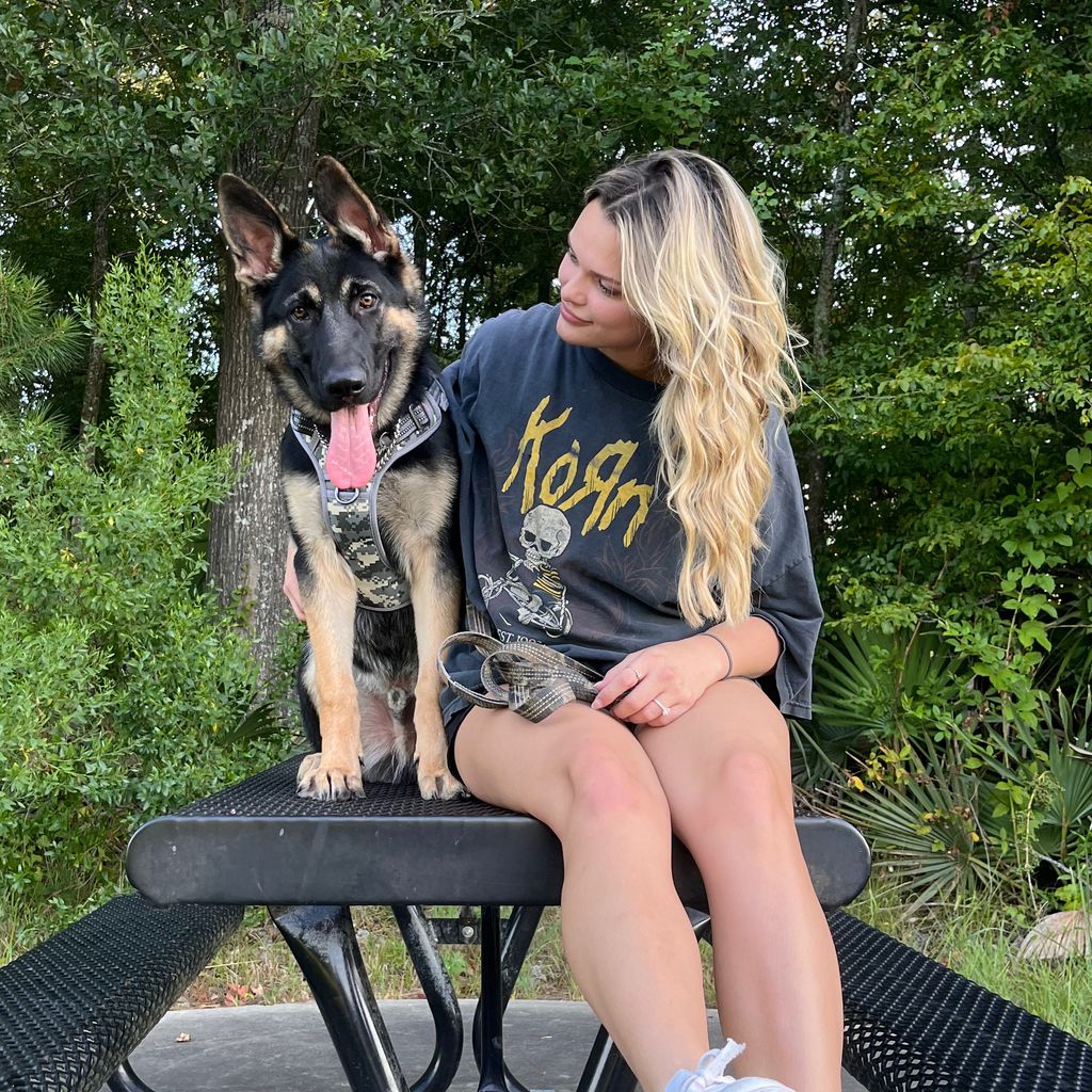 K’s K9 services
